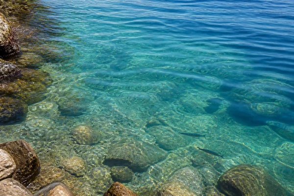 海洋散骨は環境を汚染しない？SDGs目標14との整合・サンゴ礁海域の禁止理由【2026年版】のサムネイル画像