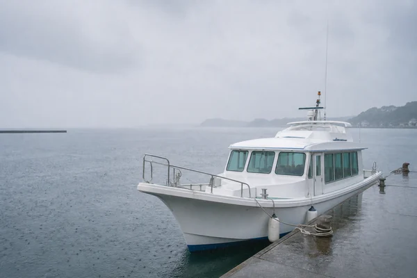 海洋散骨が雨天・荒天で中止になる基準と振替の流れ｜キャンセル料は？業者ポリシーを徹底解説【神奈川版2026年】のサムネイル画像